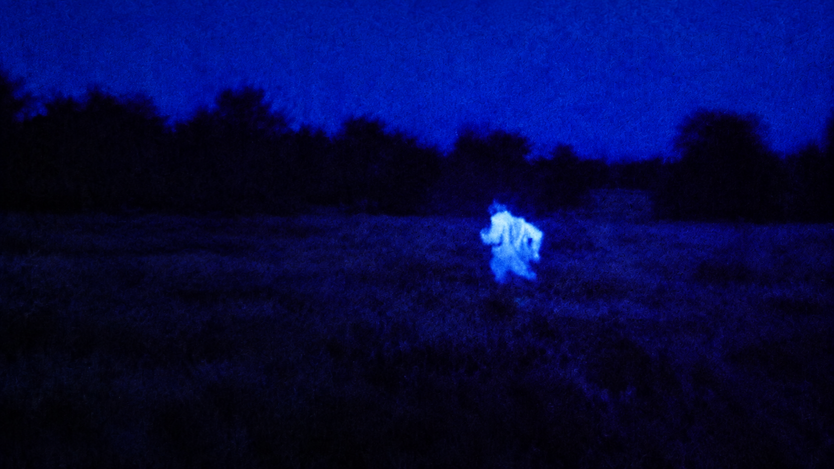 蓝紫夜色、雾中人物与暮色湖畔的三种梦境